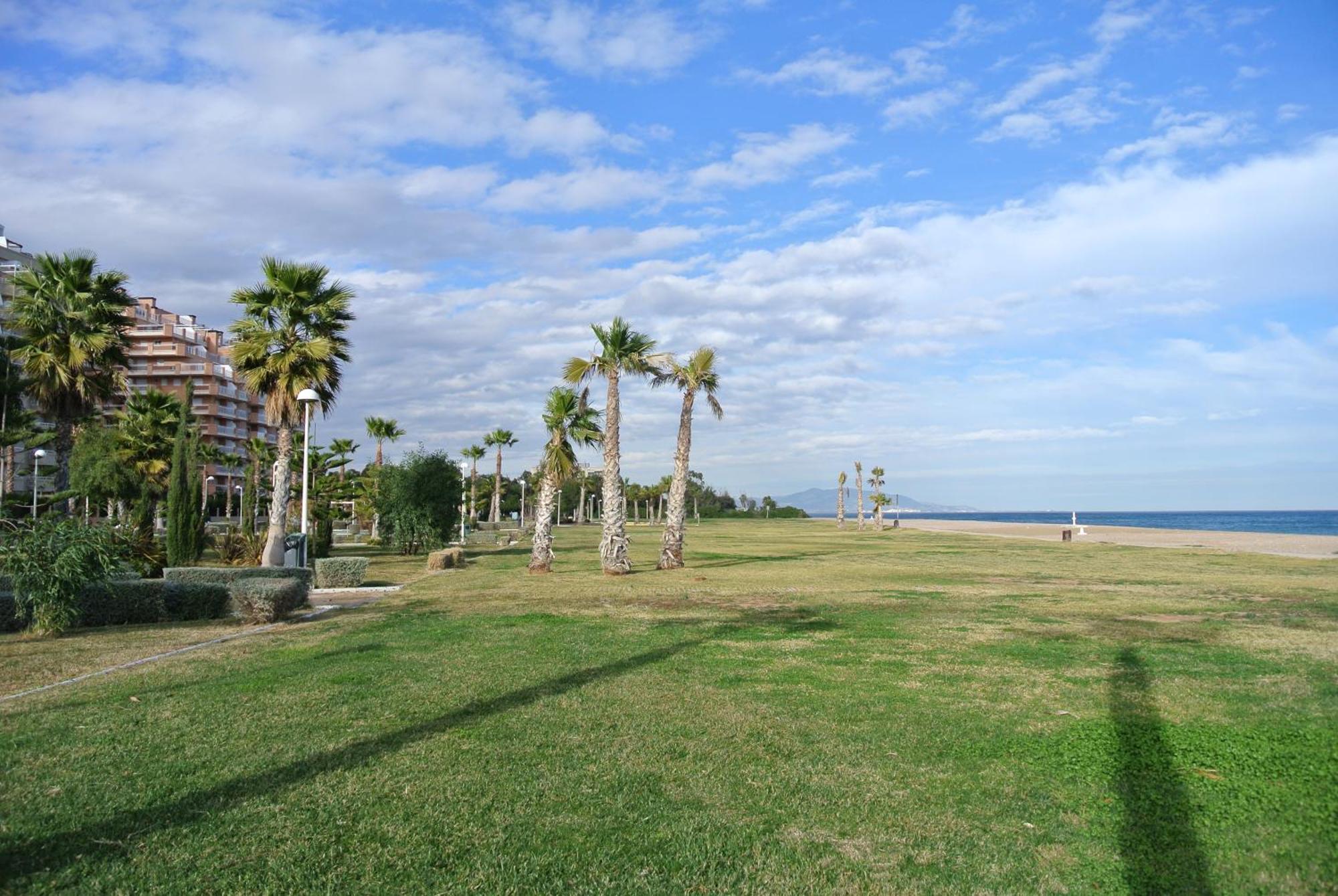 Apartamentos Danesp-Playa De Les Amplaries Marina Dor- Frontales Al Mar Oropesa del Mar Eksteriør bilde